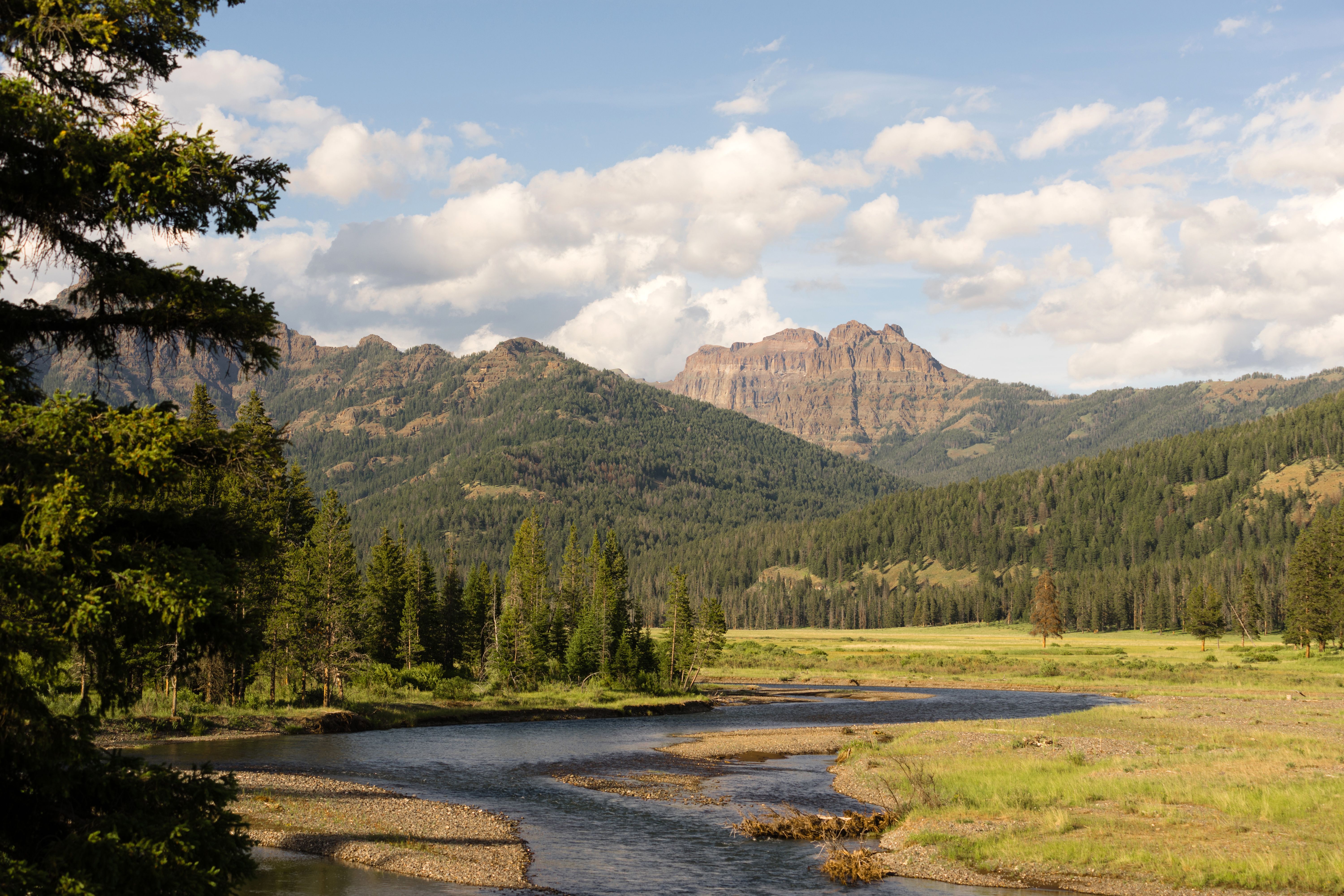 lamar-river-flows-through-valley-yellowstone-national-park